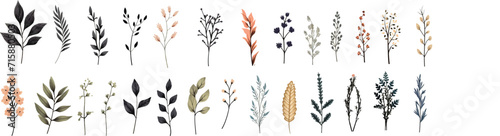 Vector Plants and Flowers icon set