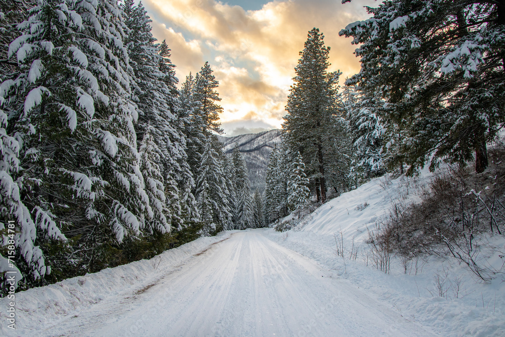 Beautiful Snow-covered Road and Winter Forest in the mountains of the Pacific Northwest - Twisp, Methow Valley, Washington, USA Beautiful Snow-covered Road and Winter Forest in the mountains of the Pacific Northwest - Twisp, Methow Valley, Washington, USA