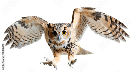 Majestic Owl in Flight With Wings Outstretched