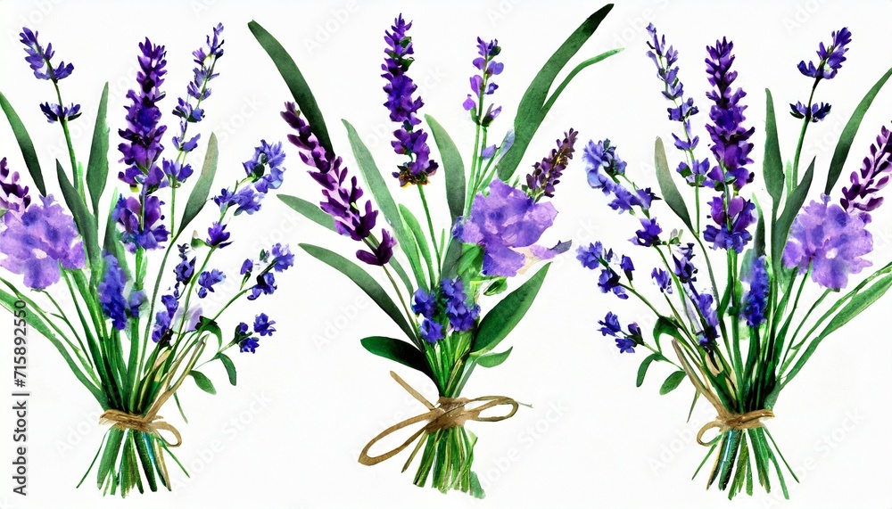 watercolor arrangements with flowers lavender bouquets with wildflowers leaves branches botanic illustration