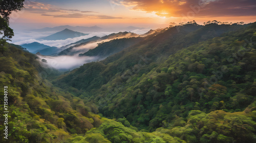 Tropical forest nature landscape view with toursits mountain range and moving cloud mist at Kew Mae Pan nature trail  Doi Inthanon  Chiang Mai Thailan