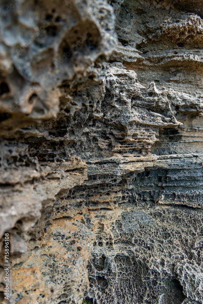 Fototapeta premium a rocky beach in hawaii 