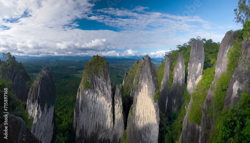 limestone pinnacles at gunung mulu national park photo