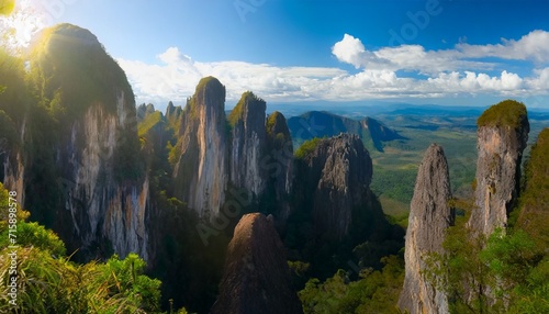 limestone pinnacles at gunung mulu national park photo