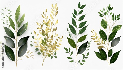 set of herbal branch green and gold leaves wedding concept arrangements for greeting card or invitation design