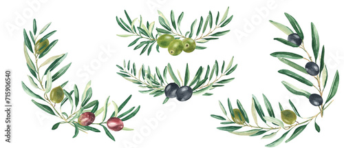 Olive branches bouquets with green, red and black olives isolated on white background. Watercolor hand drawn botanical illustration. Can be used for cards, menu, logos, cosmetic, food packaging design