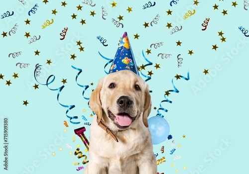 Happy dog wearing a bright party hat, celebrating