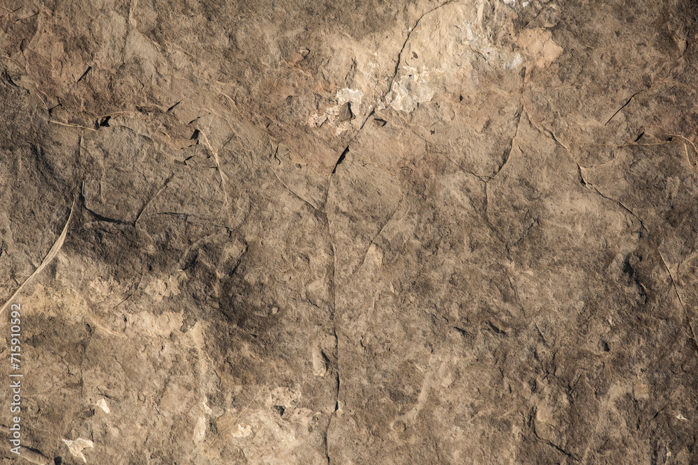 Fototapeta premium rock texture