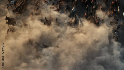 Wild Yılki Horses in a Cloud of Dust
Drone Video, Hürmetçi Village Hacılar, Kayseri Turkey (Turkey) photo