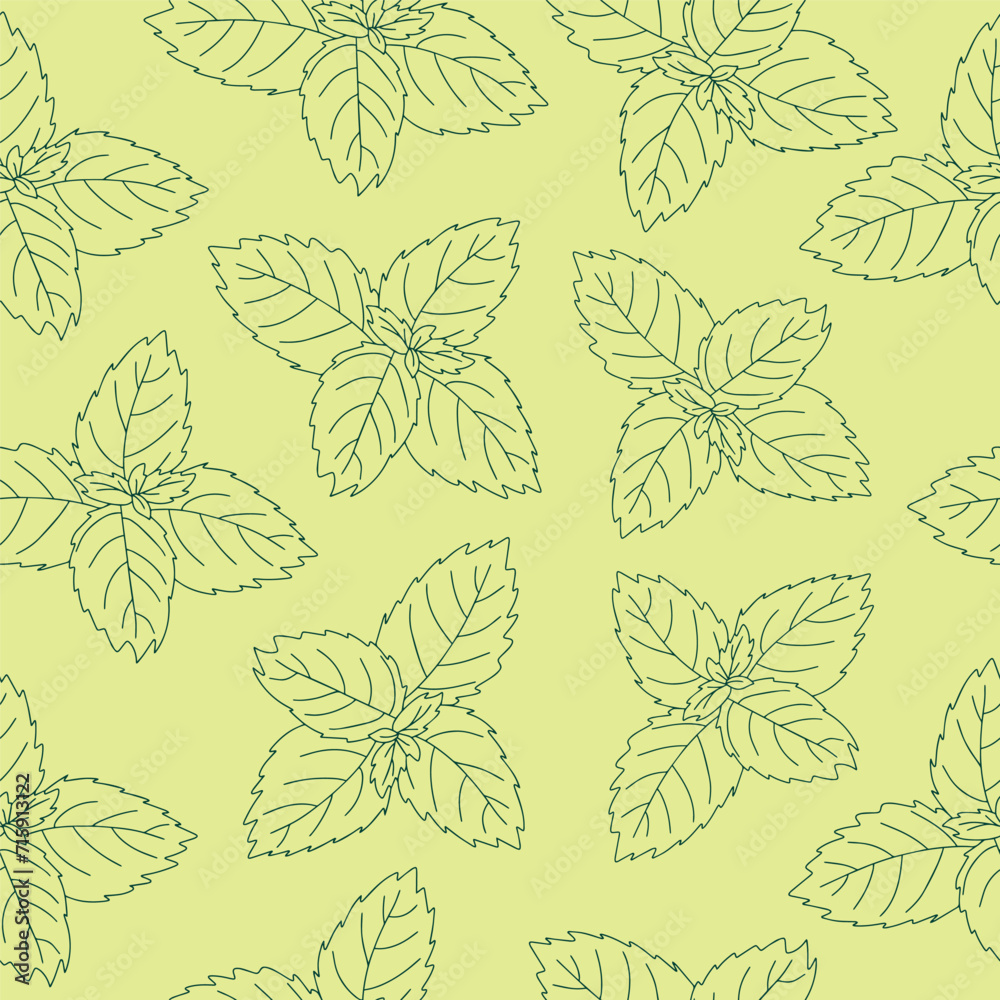 Seamless pattern of mint leaf icon. Isolated illustration of a mint leaf icon in linear style on a green background.