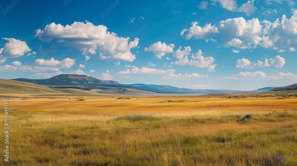 A panoramic landscape capturing an unbiased view of nature's diversity. A panoramic landscape capturing an unbiased view of nature's diversity.