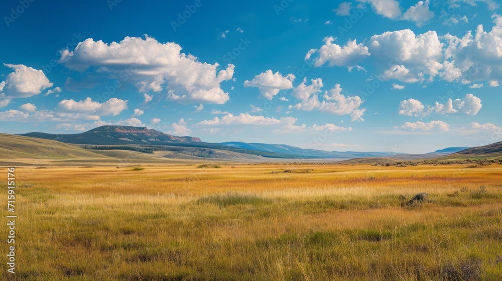 A panoramic landscape capturing an unbiased view of nature's diversity. 