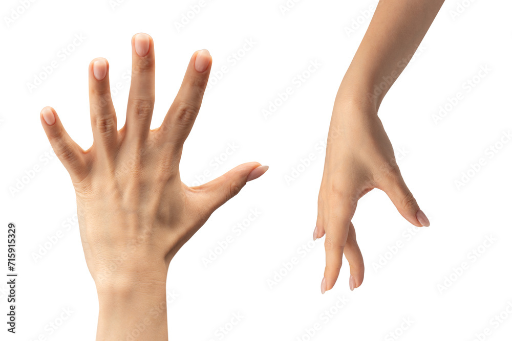 Obraz premium Woman hand isolated on a white background.