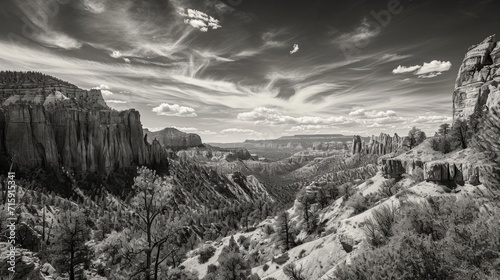 A panoramic landscape capturing an unbiased view of nature's diversity. Black and white