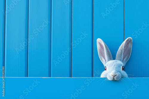 Easter bunny peeps out of the blue wall