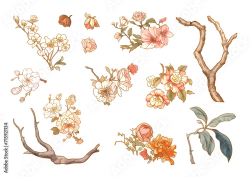 Blossom trees with birds swallow and parrots. Set, element for design. Vector illustration. In Chinoiserie, botanical style