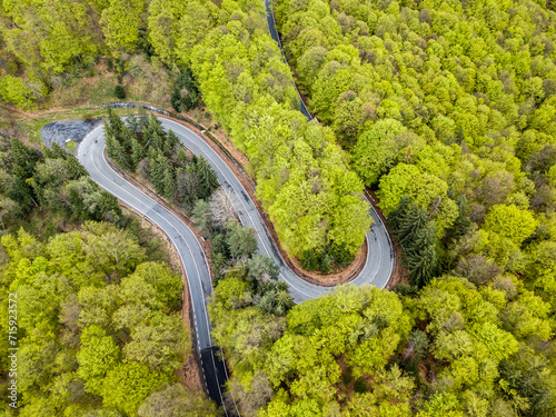 Aerial view of asphalt road winding through green springtime forest