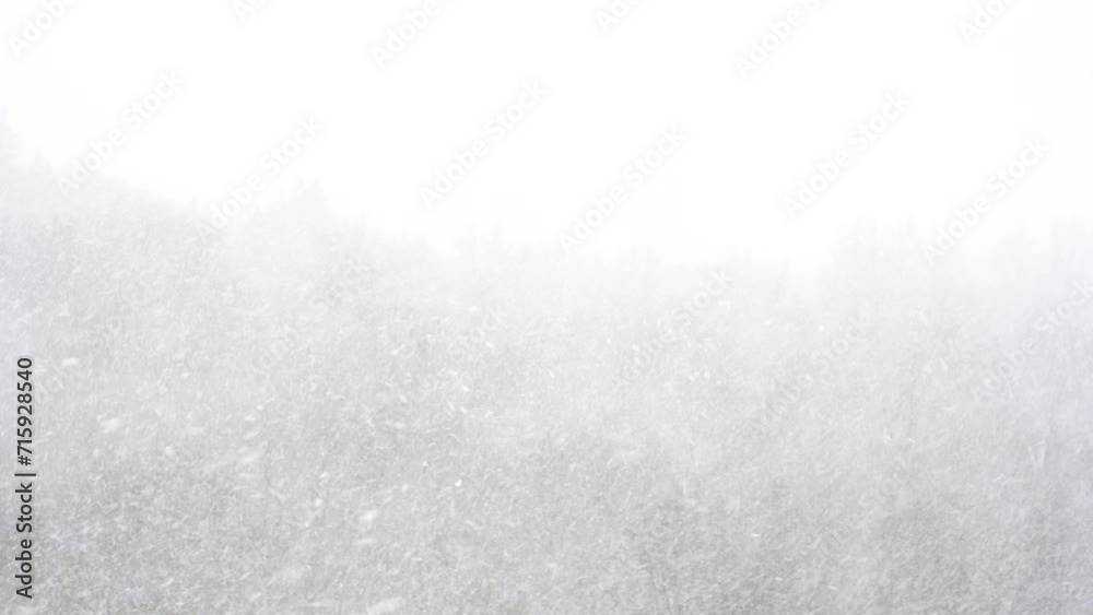 Heavy snowfall on a winter day. Soft focus on falling snow with forest in the background. Weather forecast for snowstorm and blizzard concept.