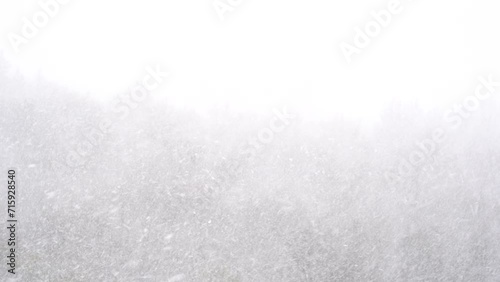 Heavy snowfall on a winter day. Soft focus on falling snow with forest in the background. Weather forecast for snowstorm and blizzard concept.