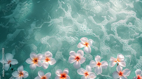 Floating Serenity: Frangipani Flowers on Transparent Ocean Waters © Marina
