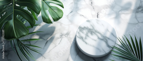 3d render of white marble podium with tropical leavesle background