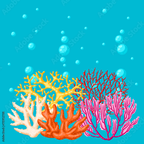Background with sea corals. Marine life aquarium and water fauna.