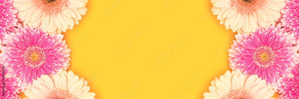 Banner with colorful gerbera flowers on a yellow background. Place for text. Banner with colorful gerbera flowers on a yellow background. Place for text.