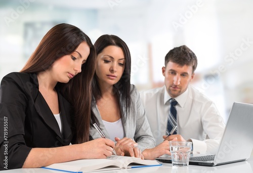 Professional business team in office discussing project