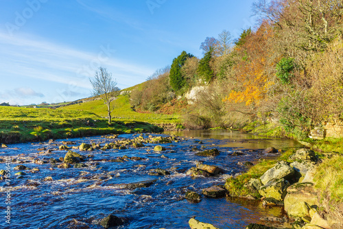 River Swale in late Autumn with leafless trees and only the evergreens and golden oak leaves remaining.  Swaledale in the Yorkshire Dales  UK.  Space for copy.  Horizontal.
