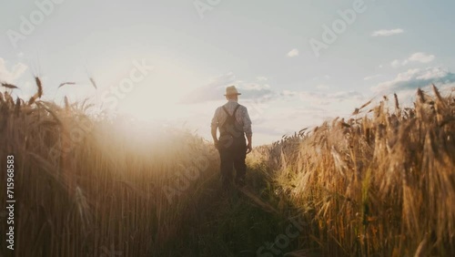 Farmer walking wheat field examining cultivated cereal. Agronomist inspect own farmland observe barley at golden sunset. Rural landscape view. Agribusiness harvesting concept, bio, eco food