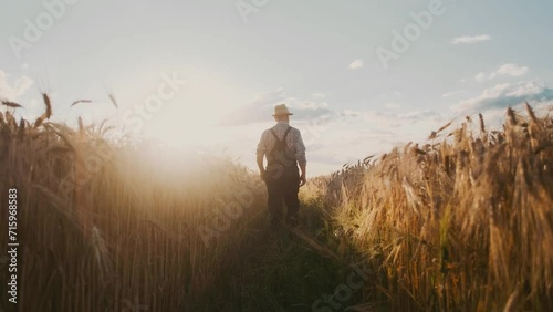 Farmer walking wheat field examining cultivated cereal. Agronomist inspect own farmland observe barley at golden sunset. Rural landscape view. Agribusiness harvesting concept, bio, eco food photo