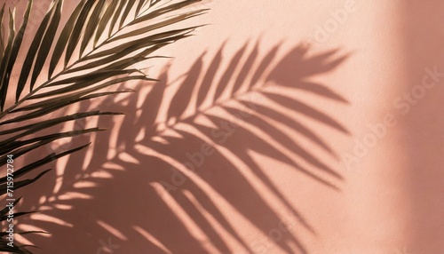 Empty room with blurred shadows and tropical palm leaves on the peach fuzz tone wall. Minimal abstract background for product presentation with large copy space.