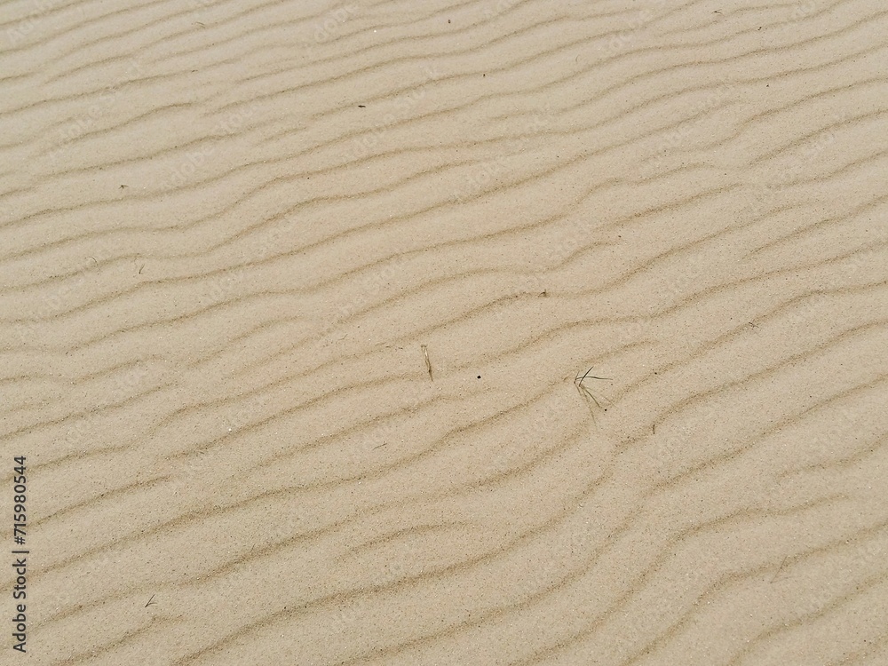Sea sand with wavy pattern from. Sandy texture natural background Sea sand with wavy pattern from. Sandy texture natural background
