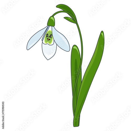Snowdrop. Escape of the first spring flowers of snowdrops. Spring laughing flower with cheerful eyes and delicate petals. Galánthus nivalis beautiful, bright vector illustration. Vector doodle happy l