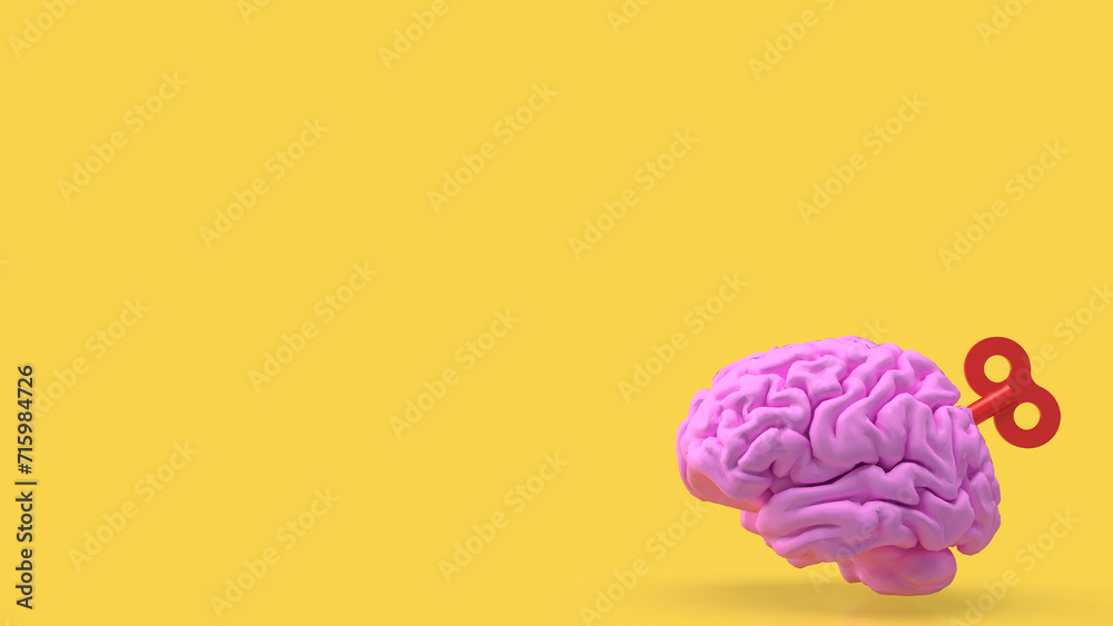 The Human brain with wind up for Medical or Technology concept 3d rendering. The Human brain with wind up for Medical or Technology concept 3d rendering.