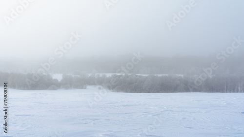 The field is covered with barchans of snow. The forest on the horizon is hidden by thick fog. Gloomy winter landscape on a frosty day with thick fog and snowfall © Aliaksei