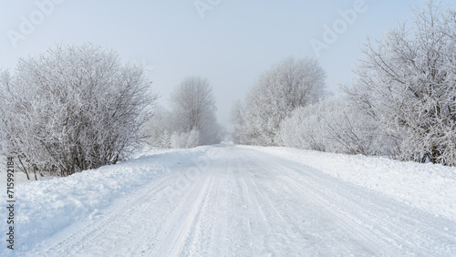 Rural road cleared of snow. Trees on the sides of the road are covered with frost. Atmospheric side light of the sun through the fog. Winter landscape on a frosty day with fog and snowfall © Aliaksei