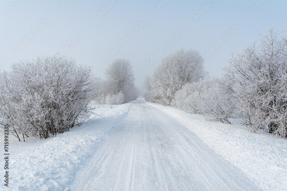 Rural road cleared of snow. Trees on the sides of the road are covered with frost. Atmospheric side light of the sun through the fog. Winter landscape on a frosty day with fog and snowfall