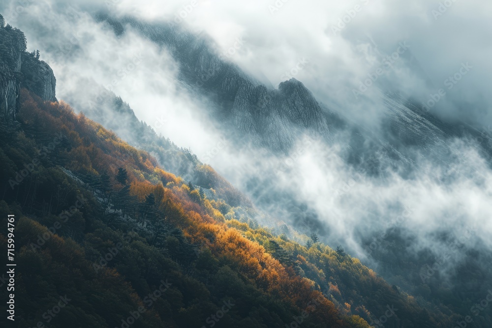 Cloud-covered Mountain With Trees