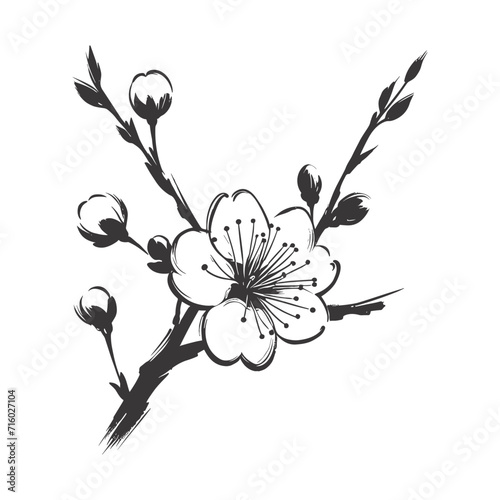 Sakura blossom illustration. Black and white, sakura, apple tree branch, hand draw doodle vector illustration. Cute black ink art, isolated on white background. Realistic floral bloom sketch.
