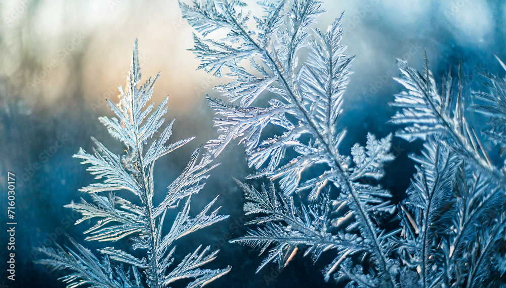 winter frost pattern on glass, a frozen wonderland of delicate ice crystals, creating a mesmerizing background texture winter frost pattern on glass, a frozen wonderland of delicate ice crystals, creating a mesmerizing background texture
