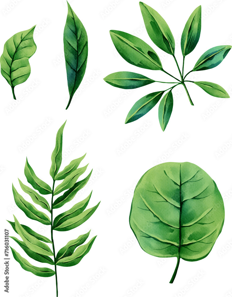set of illustrations of tropical leaves, elements suitable for summer fabric print patterns set of illustrations of tropical leaves, elements suitable for summer fabric print patterns