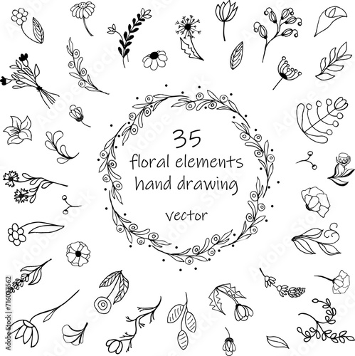 A set of floral elements, hand drawings. Isolated on white background.