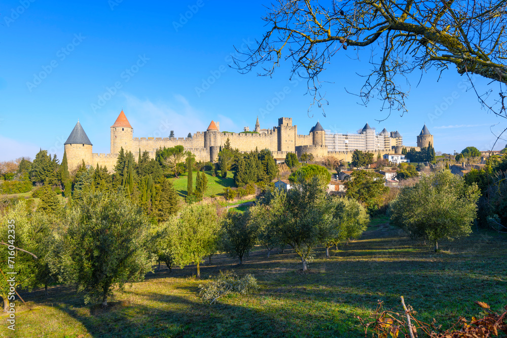 The walled fortress castle rises above the city and vineyards in medieval Carcassonne, France.