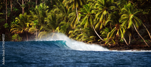 Wave crashing on reef with palm trees in the background. Mentawai Islands Indonesia photo