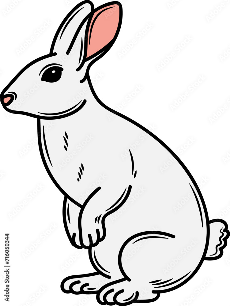 Obraz premium Hand drawn Rabbit Illustration Pose