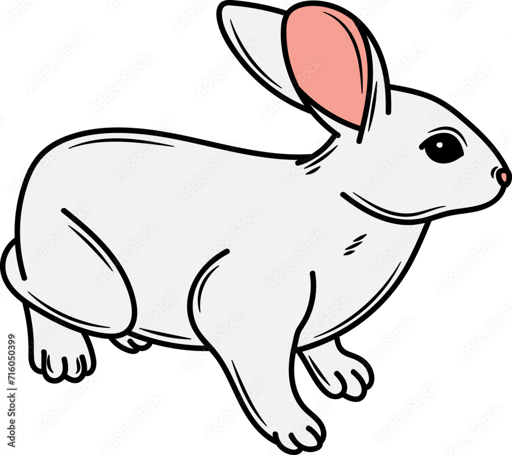 Hand drawn Rabbit Illustration Pose Hand drawn Rabbit Illustration Pose