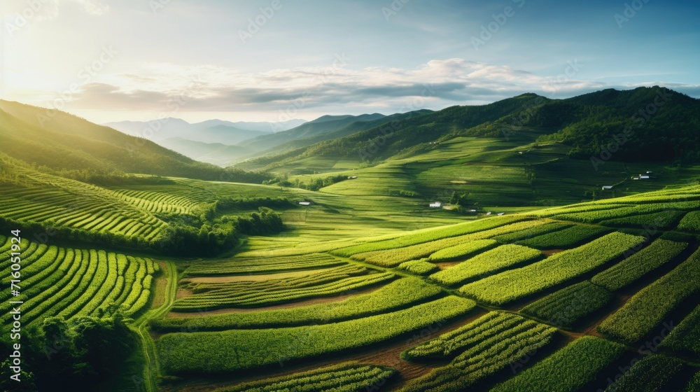 Fototapeta premium sustainable agriculture generative ai