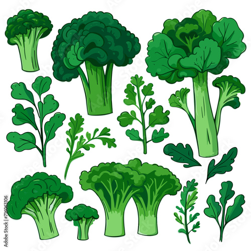 Set of Broccoli Rabe hand drawing isolated vector illustration