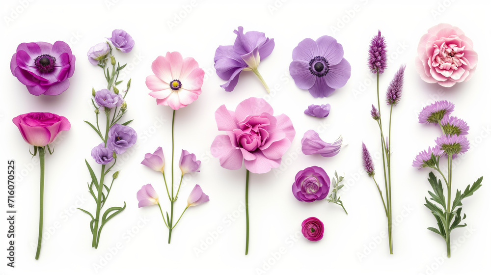 Variations of beautiful flowers